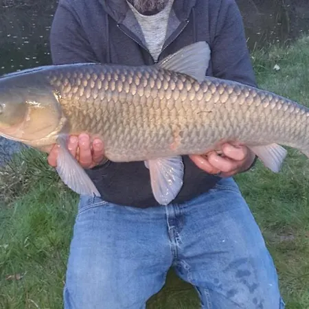 Οργανωμένο κάμπινγκ Wildberry Glamping